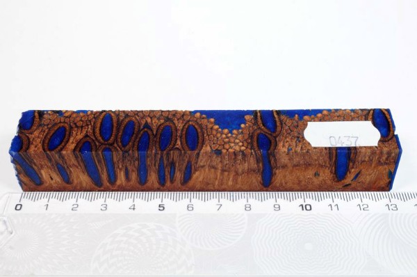 Banksiazapfen in Kunstharz - Blau - 13 cm