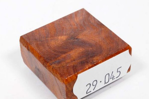 Ring Blank aus Holz - Thuja Maser