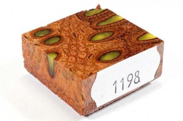 Banksiazapfen in Kunstharz für Ringe