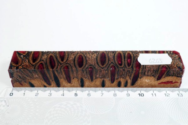 Banksiazapfen in Kunstharz - Rot - 13 cm