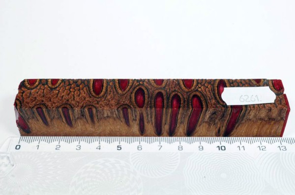 Banksiazapfen in Kunstharz - Rot - 13 cm