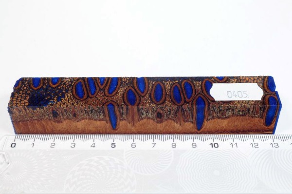 Banksiazapfen in Kunstharz - Blau - 13 cm