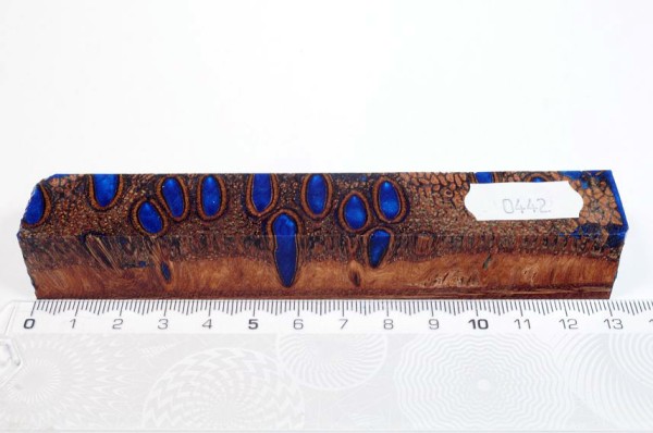 Banksiazapfen in Kunstharz - Blau - 13 cm