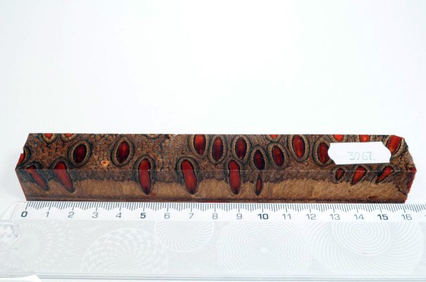 Banksiazapfen in Kunstharz - Orange - 16 cm