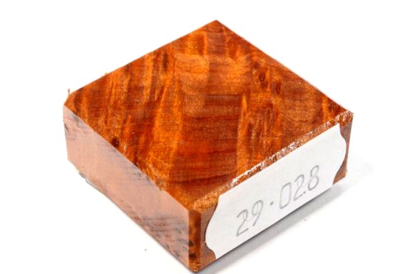 Ring Blank aus Holz - Thuja Maser