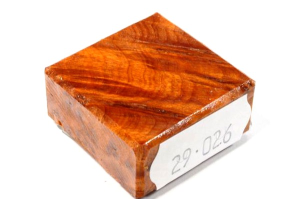 Ring Blank aus Holz - Thuja Maser