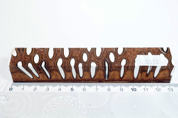 Banksiazapfen in Kunstharz - Weiß - 13 cm