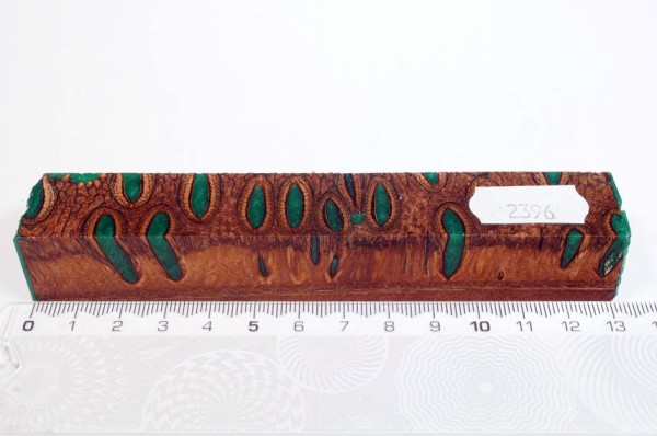 Banksiazapfen in Kunstharz - Grün - 13 cm