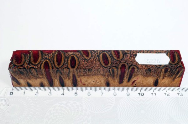 Banksiazapfen in Kunstharz - Rot - 13 cm