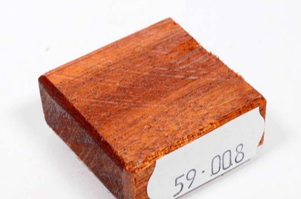 Ring Blank aus Holz - Quina