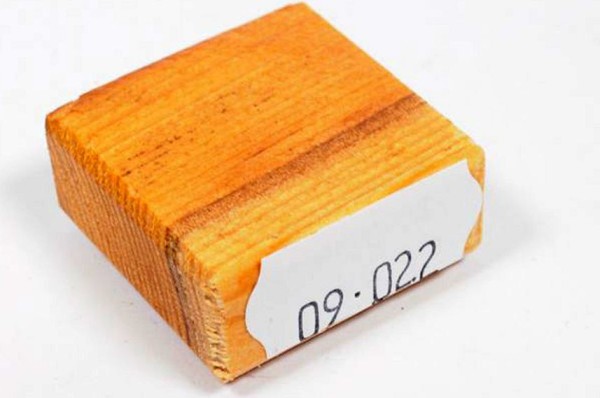 Ring Blank aus Holz - Eibe