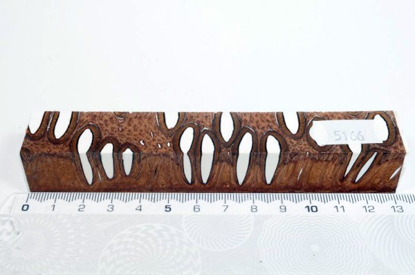 Banksiazapfen in Kunstharz - Weiß - 13 cm