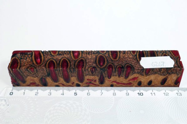 Banksiazapfen in Kunstharz - Rot - 13 cm