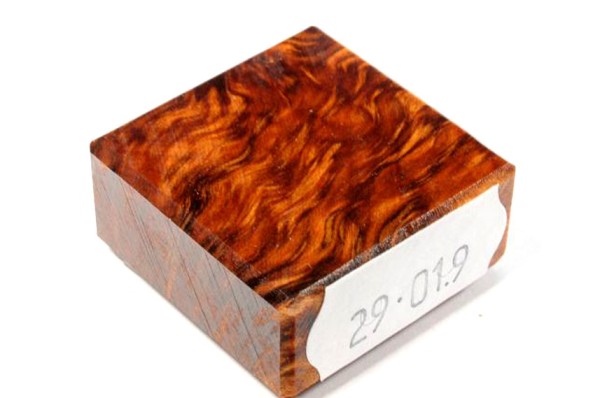 Ring Blank aus Holz - Thuja Maser
