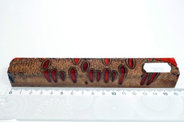 Banksiazapfen in Kunstharz - Orange - 16 cm