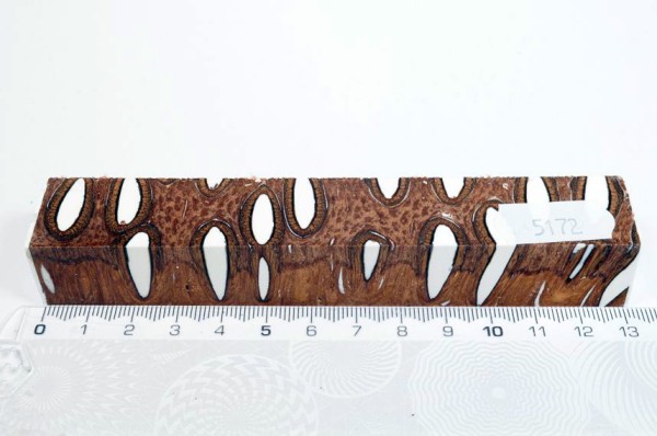Banksiazapfen in Kunstharz - Weiß - 13 cm