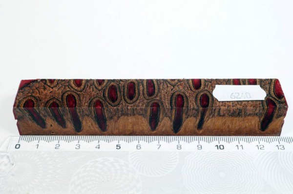 Banksiazapfen in Kunstharz - Rot - 13 cm