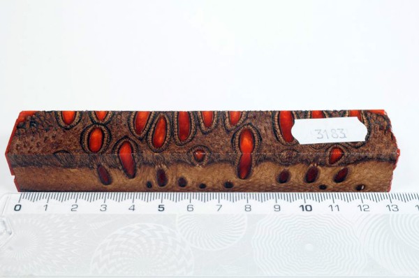 Banksiazapfen in Kunstharz - Orange - 13 cm