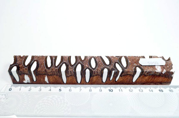 Banksiazapfen in Kunstharz - Weiß - 16 cm