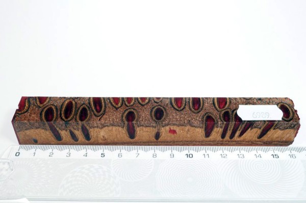 Banksiazapfen in Kunstharz - Rot - 16 cm