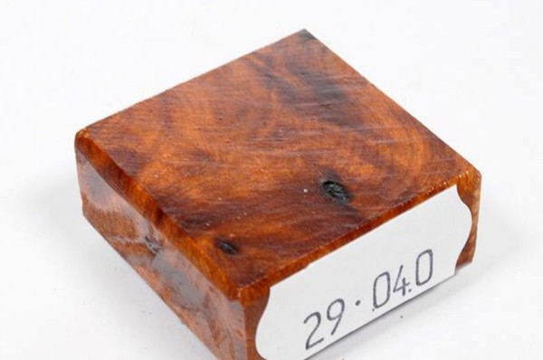 Ring Blank aus Holz - Thuja Maser