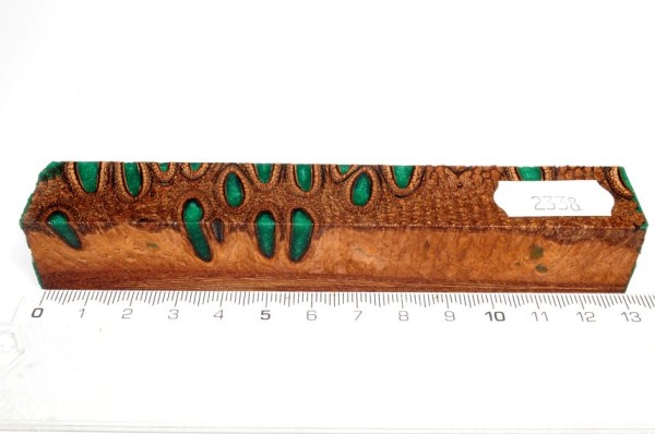 Banksiazapfen in Kunstharz