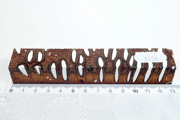 Banksiazapfen in Kunstharz - Weiß - 13 cm