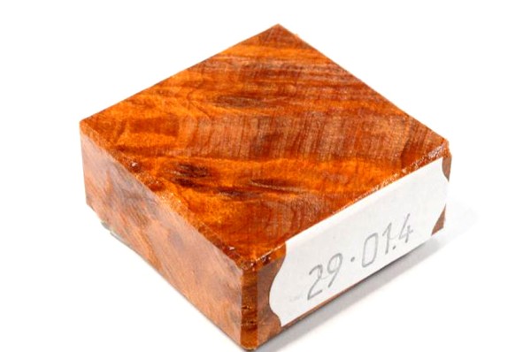 Ring Blank aus Holz - Thuja Maser