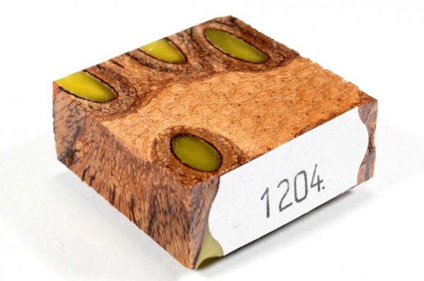 Banksiazapfen in Kunstharz für Ringe