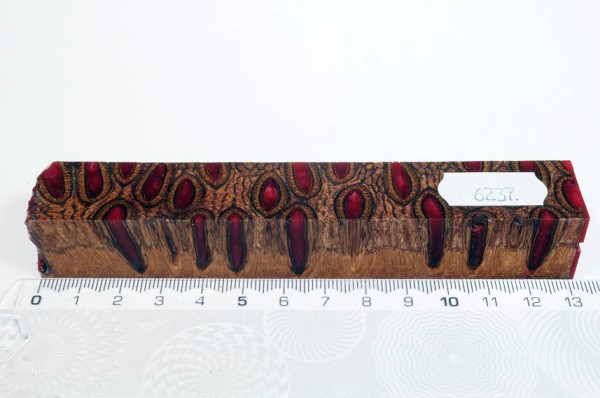 Banksiazapfen in Kunstharz - Rot - 13 cm