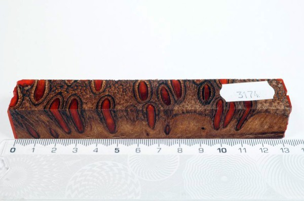 Banksiazapfen in Kunstharz - Orange - 13 cm