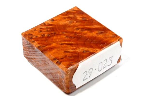Ring Blank aus Holz - Thuja Maser