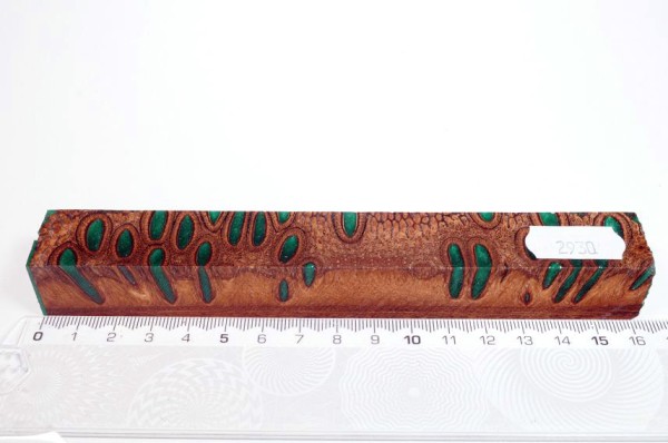 Banksiazapfen in Kunstharz - Grün - 16 cm