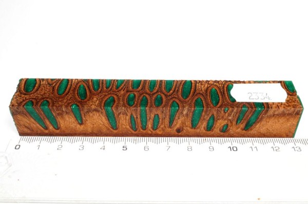 Banksiazapfen in Kunstharz