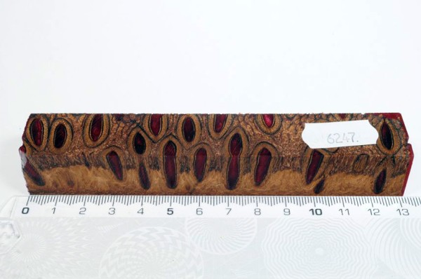 Banksiazapfen in Kunstharz - Rot - 13 cm