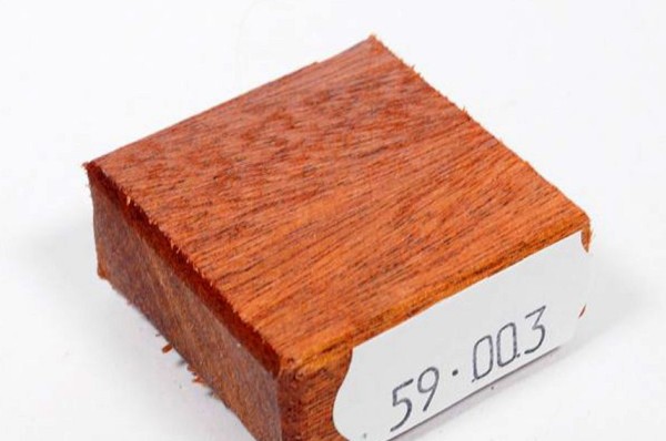 Ring Blank aus Holz - Quina