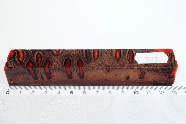 Banksiazapfen in Kunstharz - Orange - 13 cm