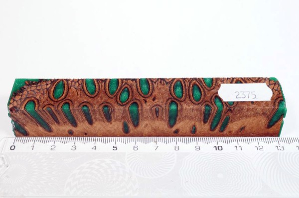 Banksiazapfen in Kunstharz - Grün - 13 cm