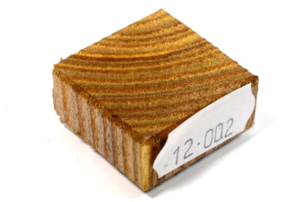 Ring Blank aus Holz - Essigbaum
