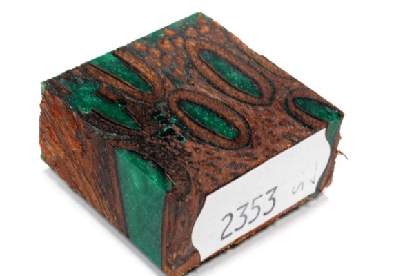 Banksiazapfen in Kunstharz für Ringe