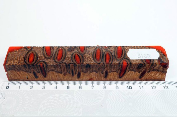 Banksiazapfen in Kunstharz - Orange - 13 cm