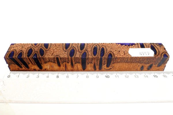 Banksiazapfen in Kunstharz