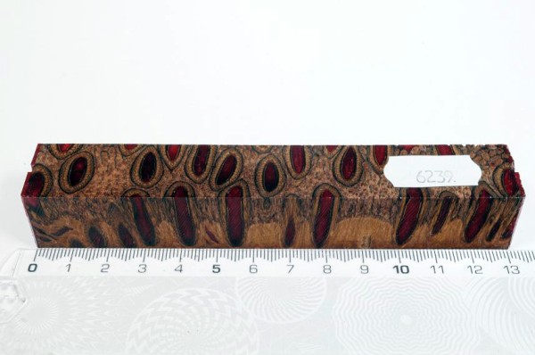 Banksiazapfen in Kunstharz - Rot - 13 cm