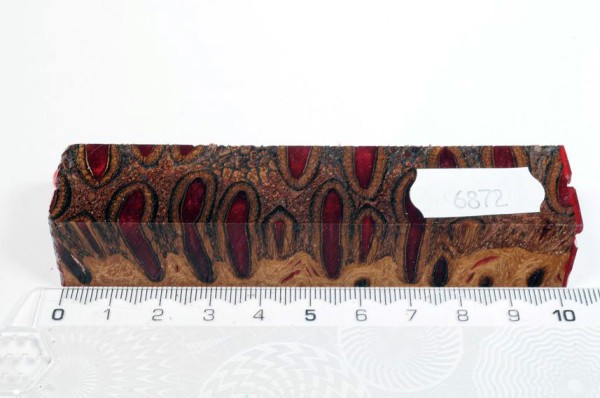 Banksiazapfen in Kunstharz - Rot - 10 cm
