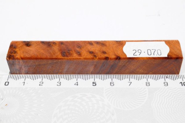 Thuja Maser - Pen Blank