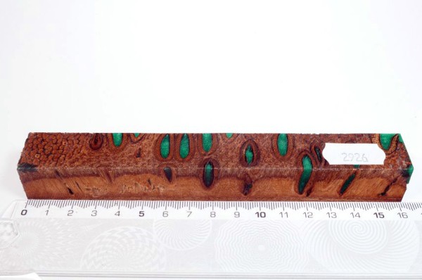 Banksiazapfen in Kunstharz - Grün - 16 cm