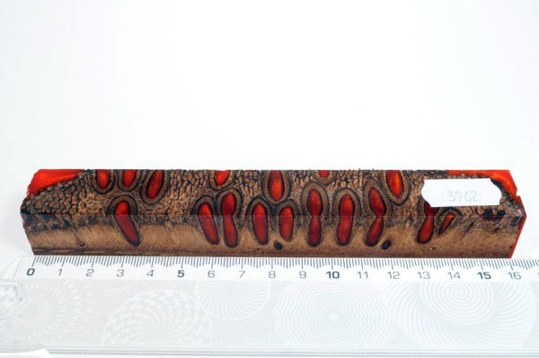 Banksiazapfen in Kunstharz - Orange - 16 cm