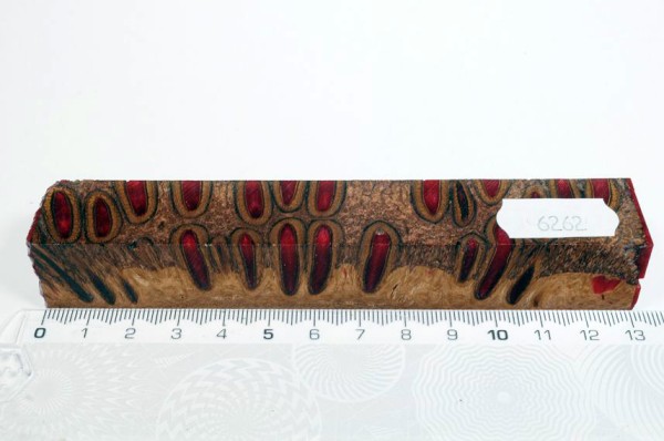 Banksiazapfen in Kunstharz - Rot - 13 cm