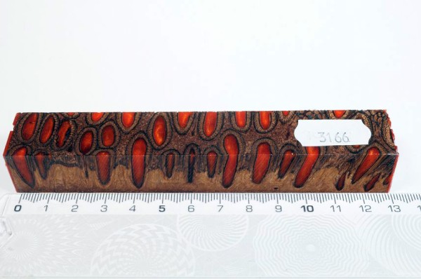 Banksiazapfen in Kunstharz - Orange - 13 cm
