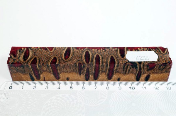 Banksiazapfen in Kunstharz - Rot - 13 cm